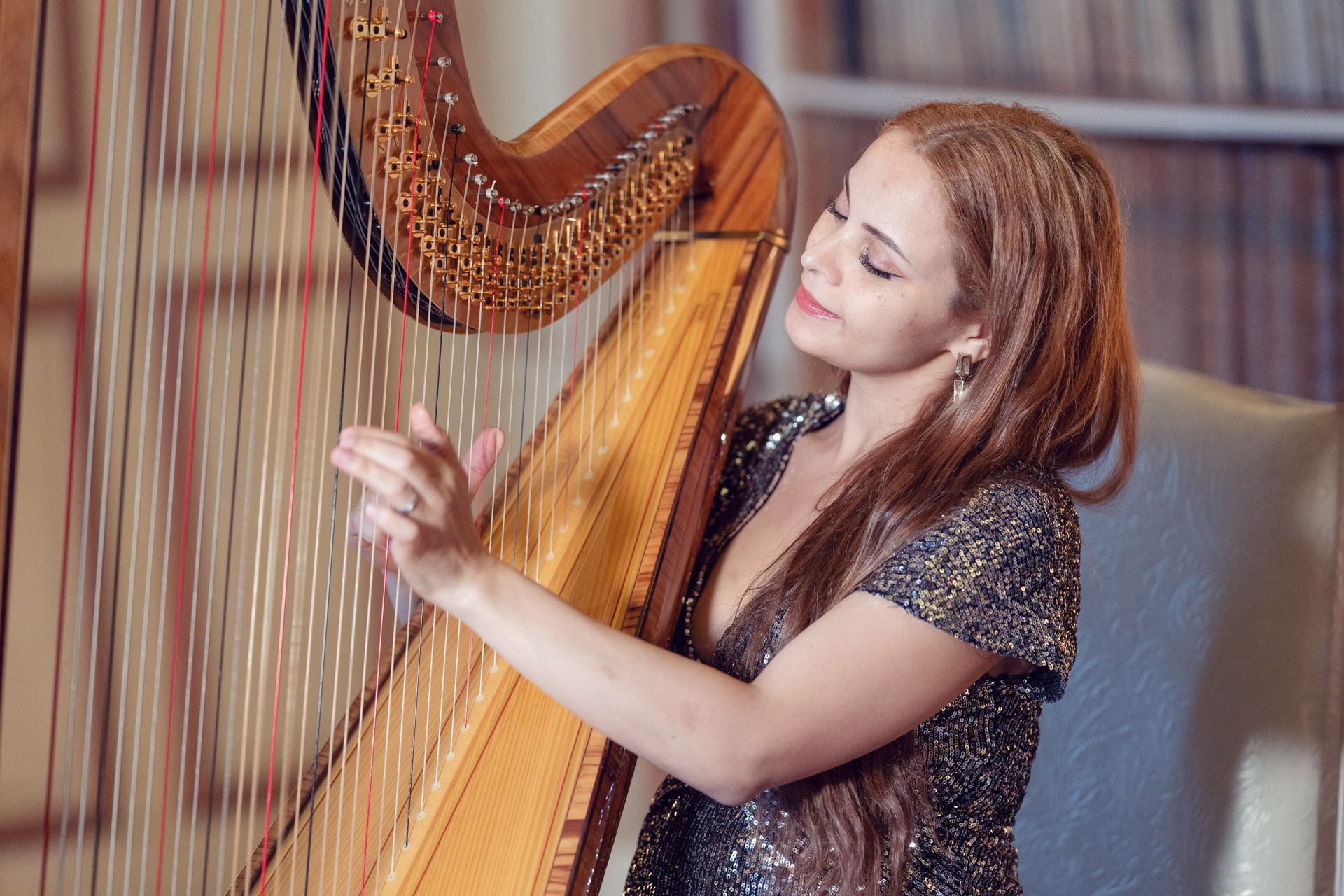 Entertainment Harpist