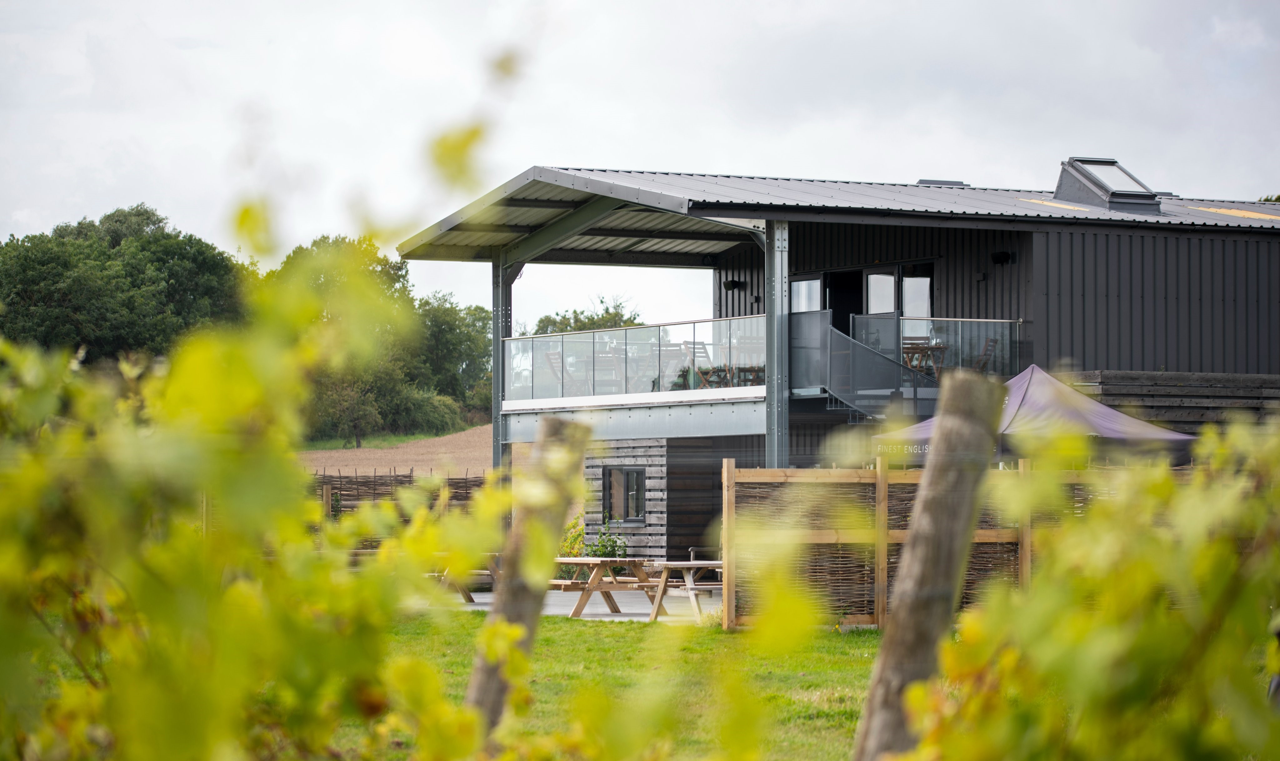 Woodchurch Opulence (1)