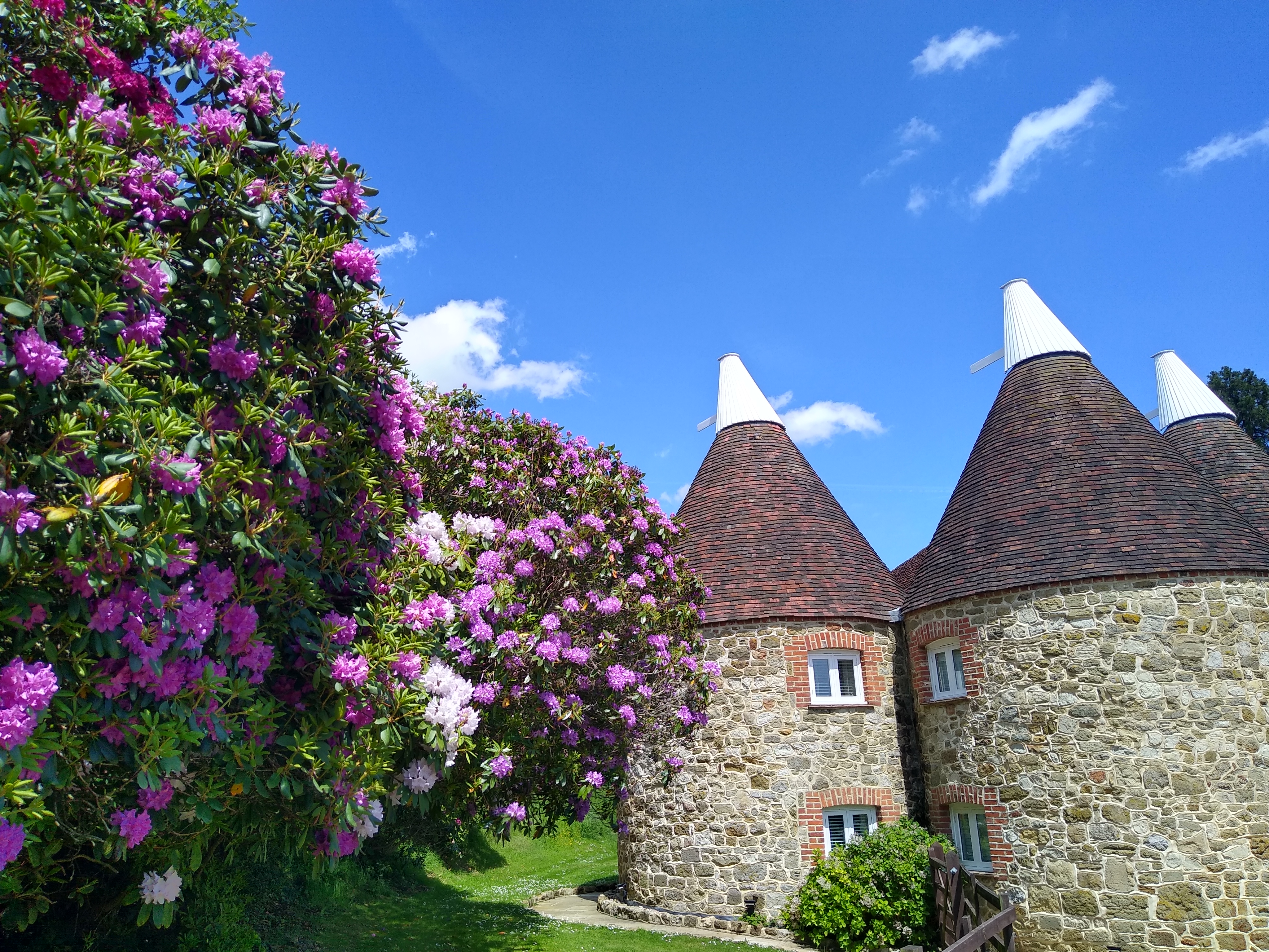 IMG 20220522 125708935 HDR